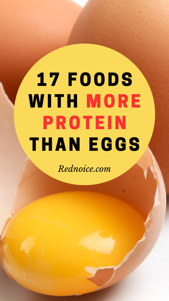 Best high protein foods