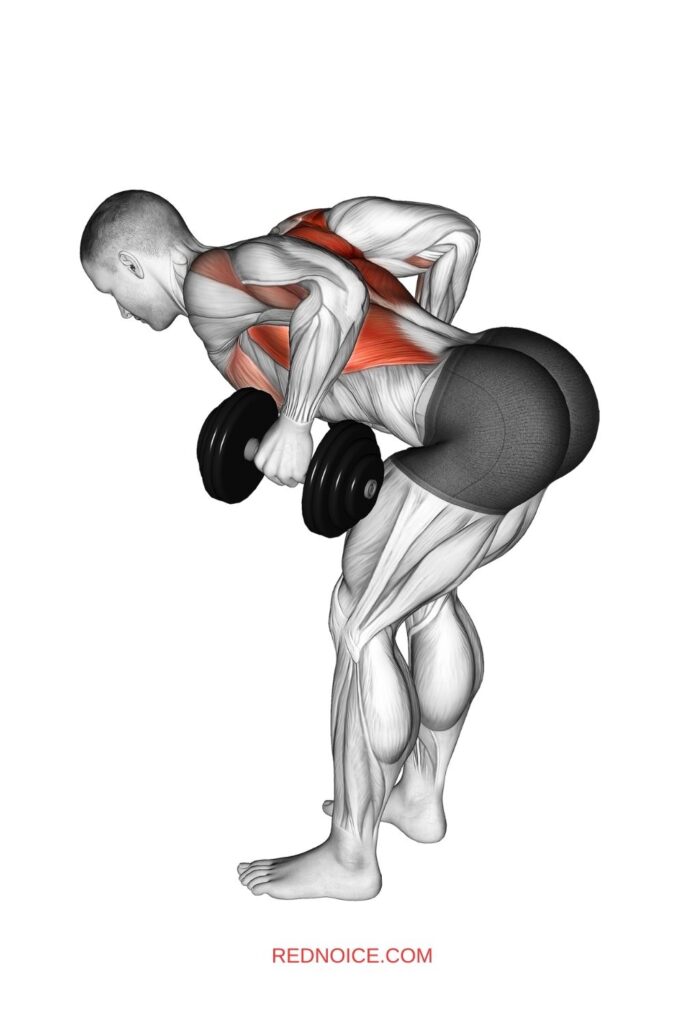 Unsupported Bent-Over Rows