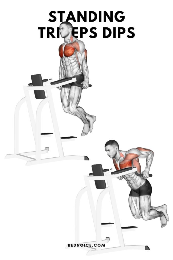 Standing Triceps Dips