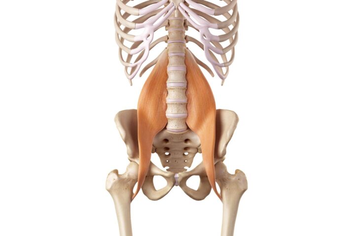Psoas muscle exercises