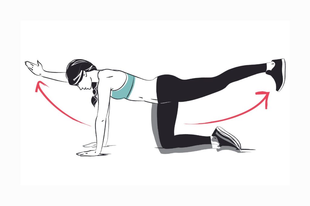 5 key core exercise for back pain