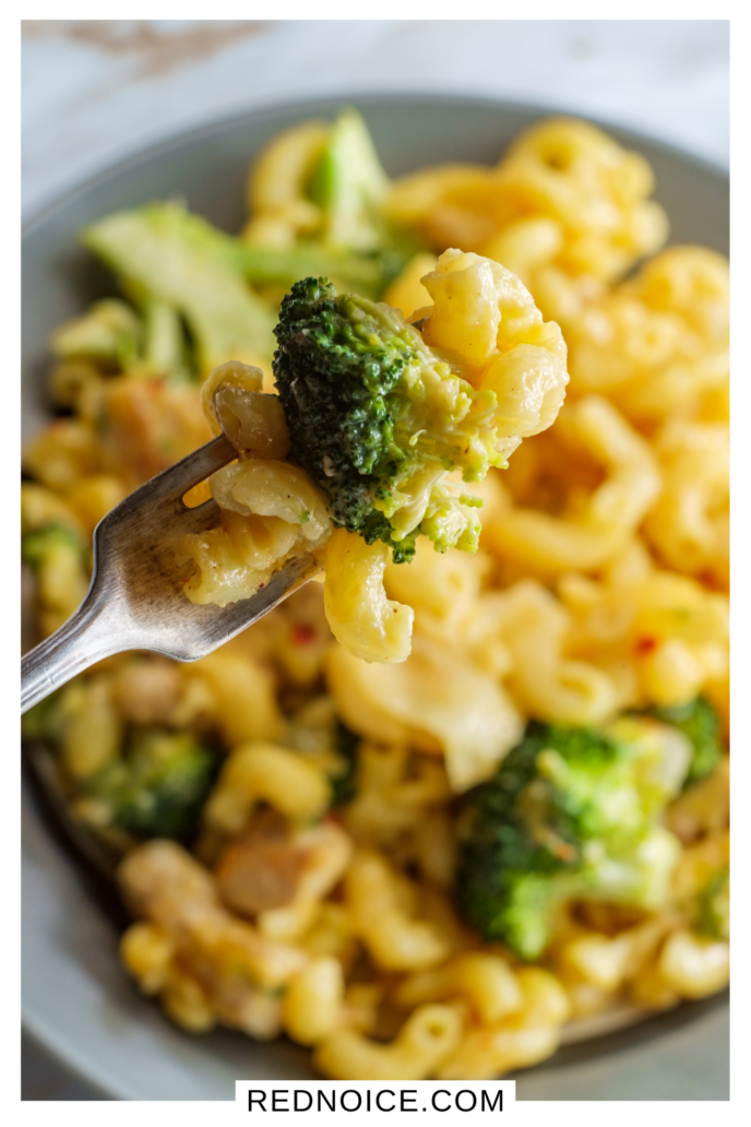 Chicken broccoli mac and cheese