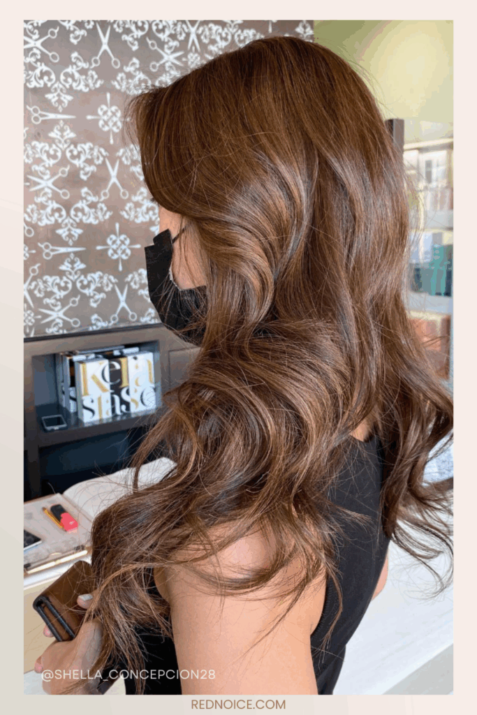 Soft Black with Auburn Ends