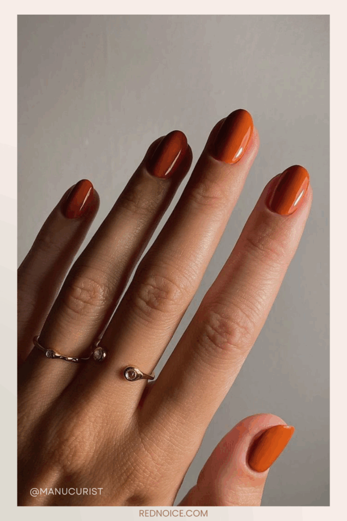 Terracotta Matte Nails