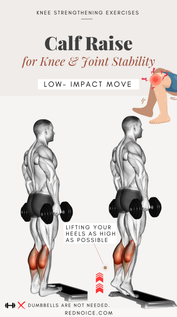 Calf Raises – Lower Leg Stability