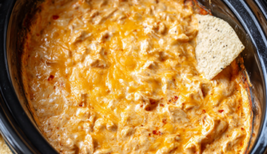 Crockpot Buffalo Chicken Dip