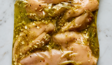 3. Salsa Verde Shredded Chicken Freezer Bag