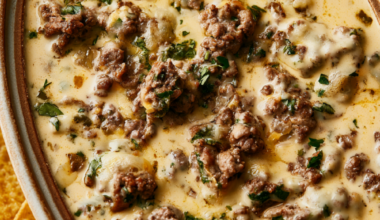 Crockpot Queso Dip-with ground beef