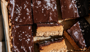 high protein Peanut Butter Chocolate Bars