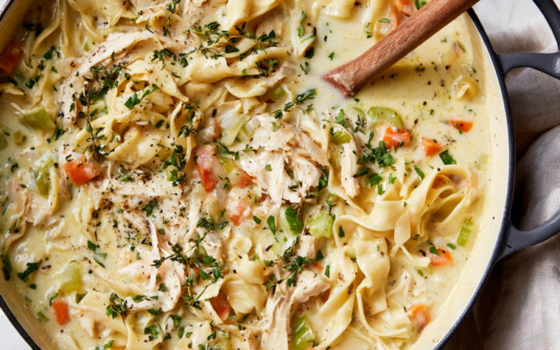 Creamy Chicken Noodle Soup Recipe