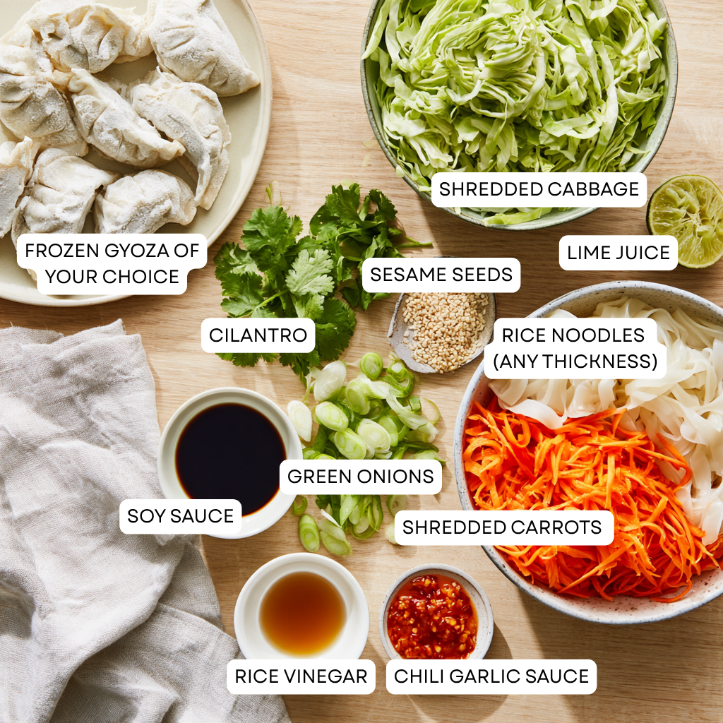 potsticker noodle bowl-ingredients